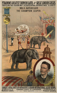 Poster for P T Barnum circus, showing acrobats jumoing over elephants and through hoops