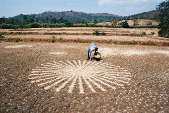 Richard Long making Paddy-Field Chaff Circle in India, 2003, photograph from the Richard Long website.