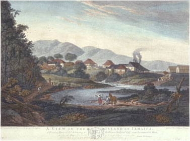 William Beckford's Roaring River Estate, Jamaica. 