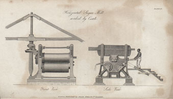 Sugar mill worked by cattle from The Nature and Properties of the Sugar Cane by George Richardson Porter, 1830 (Bristol Library Service).